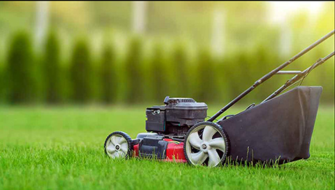 The-Benefits-of-Weekly-Mowing-shows-featured-image
