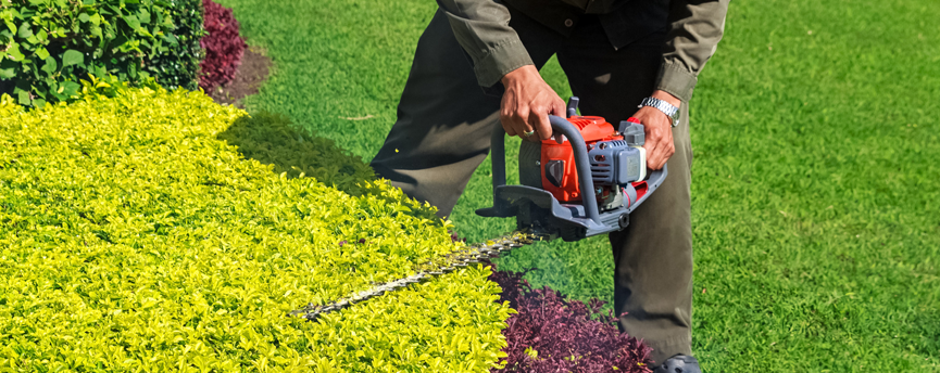 shrub-trimming